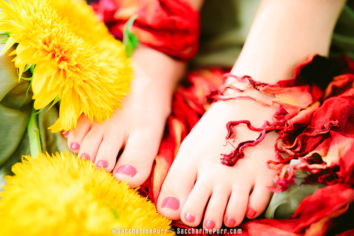 Teddy Bear Sunflowers