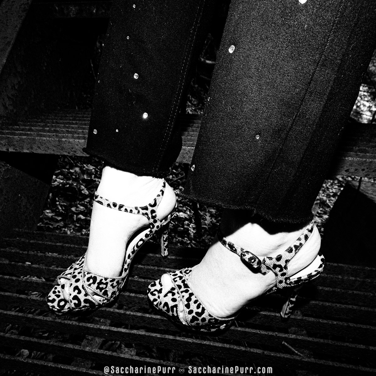 Saccharine Purr Models Nina Sana Platforms