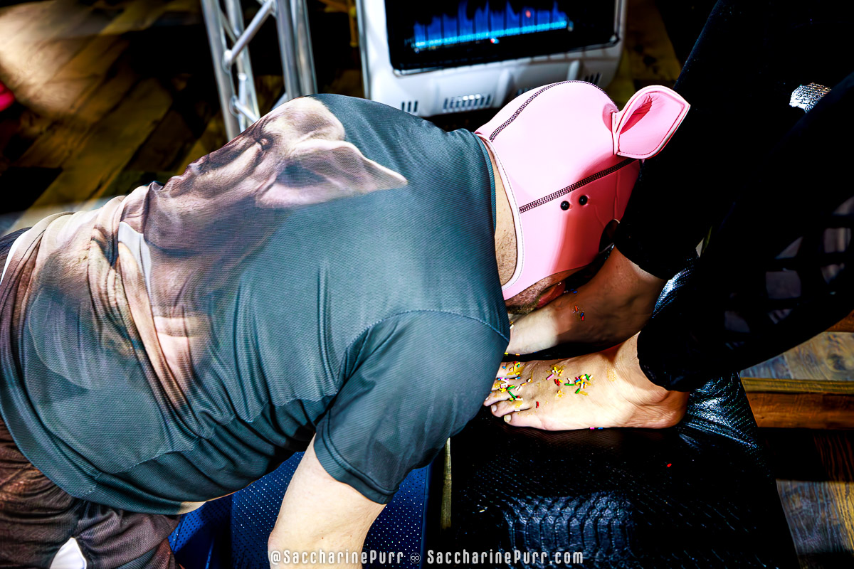 Piggy Gets an Icky Sticky Licky Honey Sprinkle Birthday Surprise From Saccharine Purr - YoungSub13 the Birthday Piggy Serves Saccharine Purr